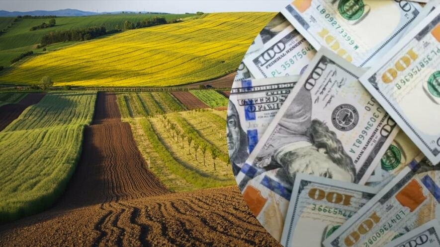 Раптове зниження ціни на землю в Україні Раптове зниження ціни на землю в Україні