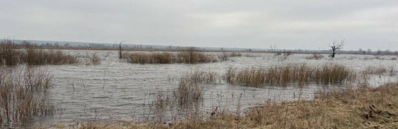 Мешканців Броварського району попереджають про підтоплення