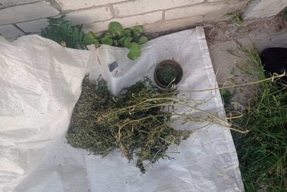 На Броварщині майже кожного дня правоохоронці виявляють у громадян наркотики