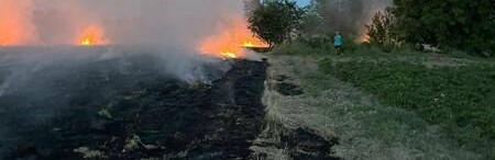 На Броварщині впіймали та покарали палія