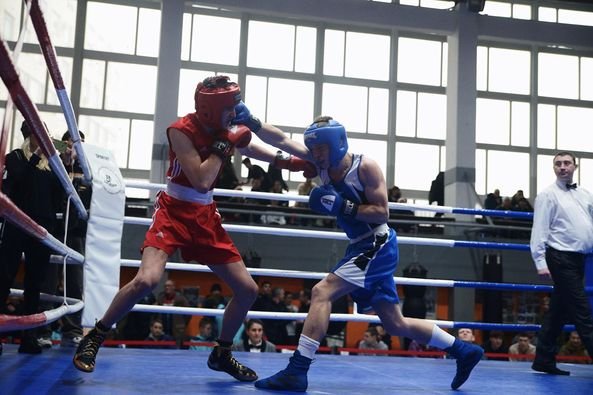 Броварські боксери стали призерами чемпіонату Києва серед юніорів