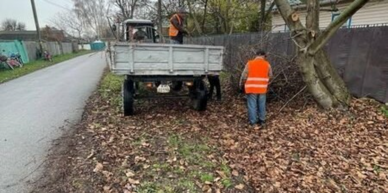 Вивіз опалого листя: куди звертатися жителям Броварської громади
