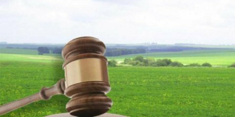 Мешканці Київщини незаконно заволоділи земельними ділянками комунальної власності на Броварщині