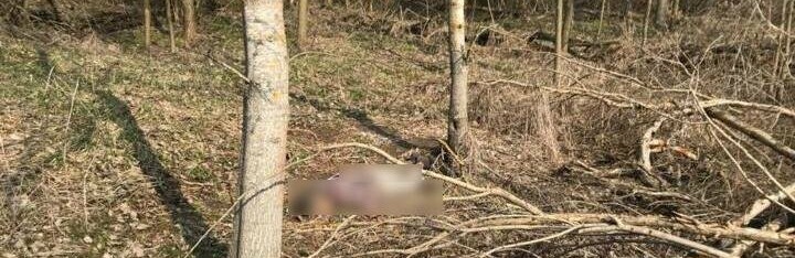 На фермі в Броварському районі знайшли труп чоловіка