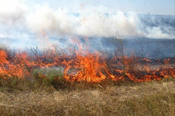 В Броварському районі горіла трава на площі 8 га