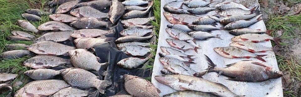 На Бориспільщині спіймали браконьєра з Броварів